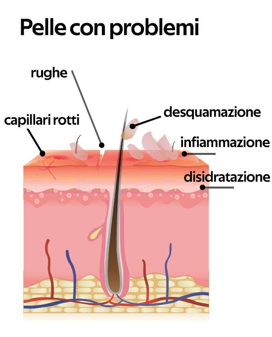 crema-madre-viso-latte-di-asina (1)