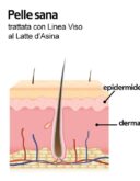 crema-madre-viso-latte-di-asina (2)